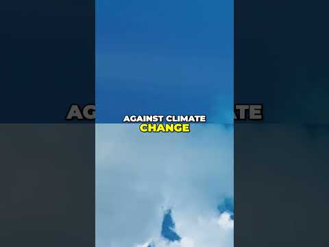 The Power of Nuclear Energy: A Sustainable Solution for the Future