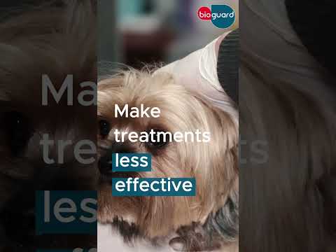 Antibiotic Resistance is coming #vet #veterinarian #VeterinaryDiagnostics #Antibiotic s #Veterinary