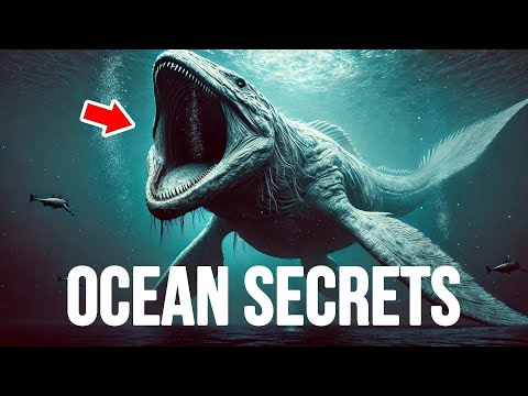 The Most Shocking Discoveries of the Deep Sea!