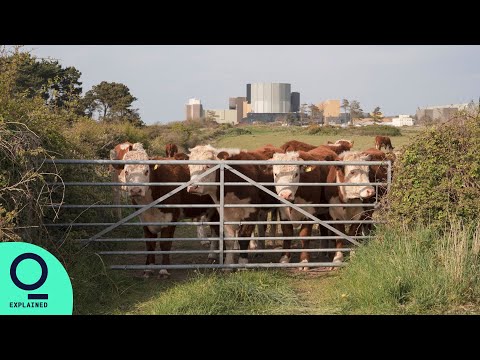 What&#039;s the UK&#039;s Nuclear Future?