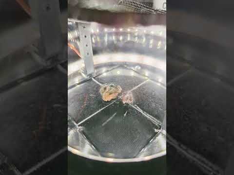 ☢️ Uranium Ore in a Cloud Chamber: Seeing The Invisible World of Radioactivity