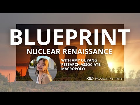 Is a Nuclear Energy Renaissance on the Horizon?