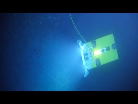 Deep sea robots reveal mineral riches in the abyss