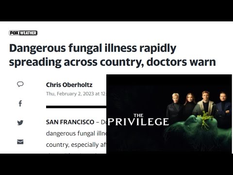 It&#039;s Official: Fungus Epidemic, Biblical Leprosy Was Mold &amp; &quot;The Privilege&quot; Fungus Apocalypse